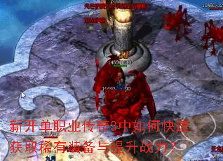 �¿���ְҵ����3����ο��ٻ�ȡϡ��װ��������ս����