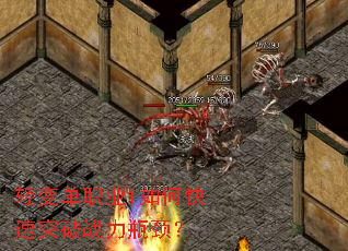 ��䵥ְҵ1��ο���ͻ��ս��ƿ����