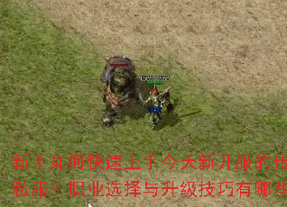 ������ο������ֽ����¿����Ĵ���˽����ְҵѡ����������������Щ��