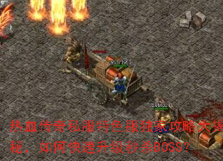 ��Ѫ����˽����ɫ�����ҹ��Դ���أ���ο���������ɱBOSS��