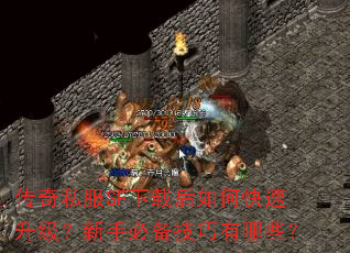 ����˽��SF���غ���ο������������ֱر���������Щ��