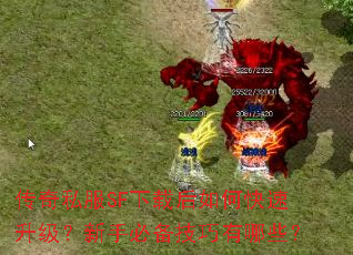 ����˽��SF���غ���ο������������ֱر���������Щ��