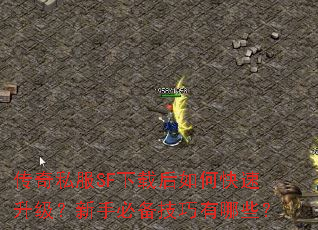 ����˽��SF���غ���ο������������ֱر���������Щ��