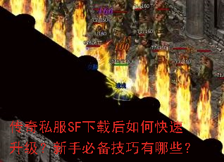 ����˽��SF���غ���ο������������ֱر���������Щ��