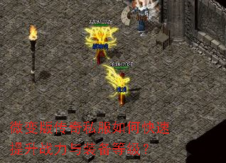 ΢��洫��˽����ο�������ս����װ���ȼ���