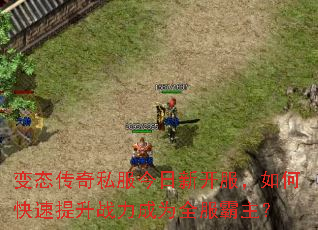 ��̬����˽�������¿�������ο�������ս����Ϊȫ��������