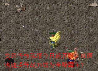 ��̬����˽�������¿�������ο�������ս����Ϊȫ��������