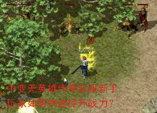 �б���Ӣ�۴���˽�����������ο�������ս����