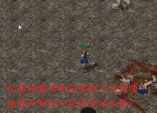 ˽����Ѫ����˽��������ο��������ȼ����ȡ�߼�װ����