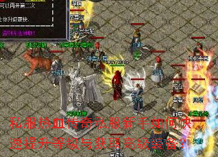 ˽����Ѫ����˽��������ο��������ȼ����ȡ�߼�װ����