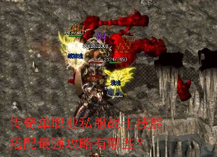 ���浥ְҵ˽��սʿ���ܴ�����ǿ��������Щ��