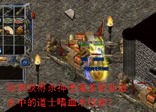 ��λ��ɱ���ħ��ְҵ�汾�еĵ�ʿ��Ѫ�����ܣ�