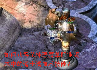 ��λ��ɱ���ħ��ְҵ�汾�еĵ�ʿ��Ѫ�����ܣ�