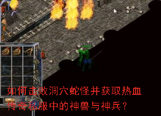 ��λ��ܶ�Ѩ�߹ֲ���ȡ��Ѫ����˽���е������������