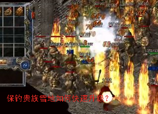 ��������ѩ����ο���������