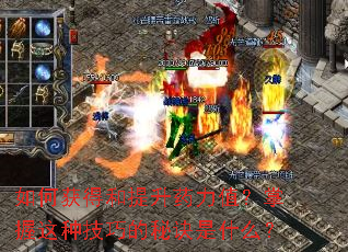 ��λ�ú�����ҩ��ֵ���������ּ��ɵ��ؾ���ʲô��