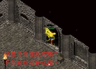 ��Ѫ������˿���ԣ�ǧ����˿��ʲô�ã�