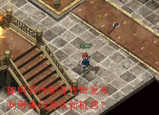 ��ο����¿����淢������������Ϸ�»�����