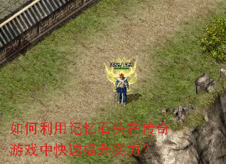 ������ü���ʯͷ�ڴ�����Ϸ�п�������ʵ����