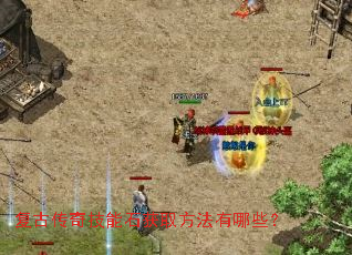 ���Ŵ��漼��ʯ��ȡ��������Щ��