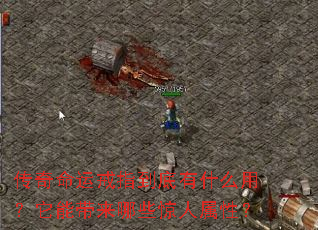 �������˽�ָ������ʲô�ã����ܴ�����Щ�������ԣ�