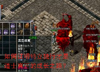 ���֤���������в��ǵ�ʿ�����ĳɳ�֮·��