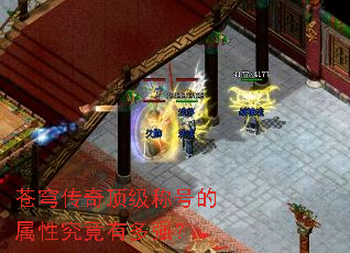 ��񷴫�涥���ƺŵ����Ծ����ж�ǿ��