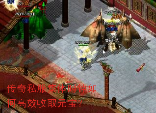 ����˽������ʱ����θ�Ч��ȡԪ����