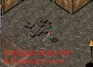 �ֻ�����Ѫ�������¹��ԣ�������ο�������ս����