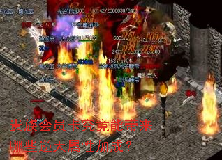 �����Ա�������ܴ�����Щ�������Լӳɣ�