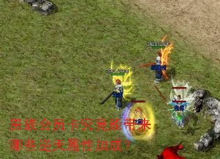 �����Ա�������ܴ�����Щ�������Լӳɣ�