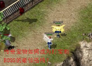 ���������γ�Ϊ��ˢBOSS����Ѵ��