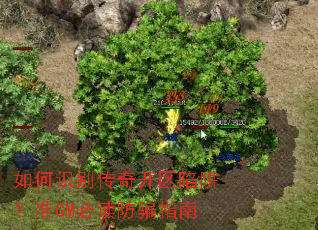 ���ʶ���濪�����壿׼GM�ض���ƭָ��