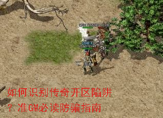 ���ʶ���濪�����壿׼GM�ض���ƭָ��