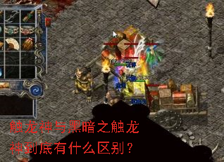 ��������ڰ�֮�����񵽵���ʲô����