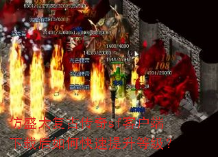 ��ʢ�󸴹Ŵ���sf�ͻ������غ���ο��������ȼ���