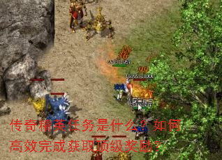 ���澫Ӣ������ʲô����θ�Ч��ɻ�ȡ����������