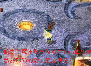 ��֮ţħ�������ж�ߣ���Ѫ����˽��BOSS�������������ڣ�