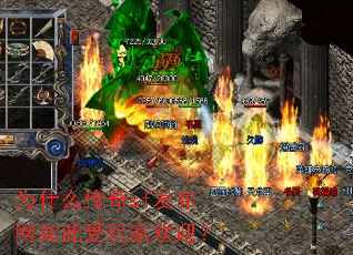 Ϊʲô����sf�������������һ�ӭ��