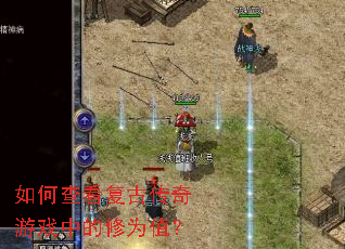 ��β鿴���Ŵ�����Ϸ�е���Ϊֵ��