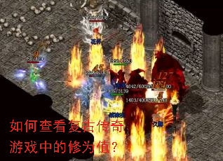 ��β鿴���Ŵ�����Ϸ�е���Ϊֵ��