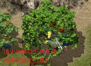 ��ʿ��γ�Ϊ������ս�еĺ���������