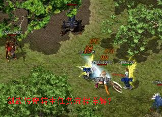 ���䴫��ת������������⣿