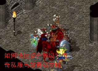 ��ο��������ȼ�������˽����Ч��������