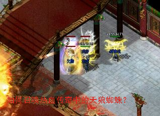 ����ٻ���Ѫ�����е�����֩�룿