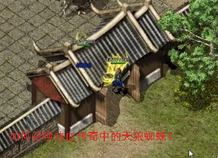 ����ٻ���Ѫ�����е�����֩�룿