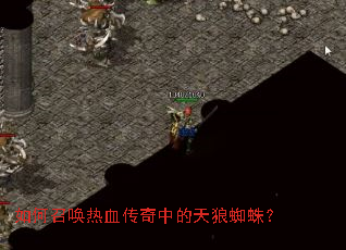 ����ٻ���Ѫ�����е�����֩�룿