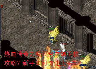 ��Ѫ����֮����ͻ������ع��ԣ�������ο������֣�