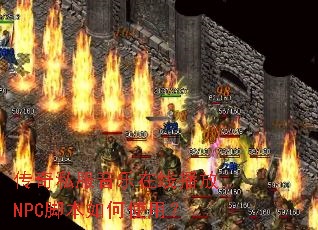 ����˽���������߲���NPC�ű����ʹ�ã�