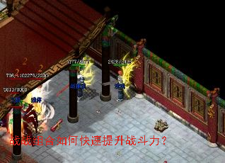 սս�����ο�������ս������